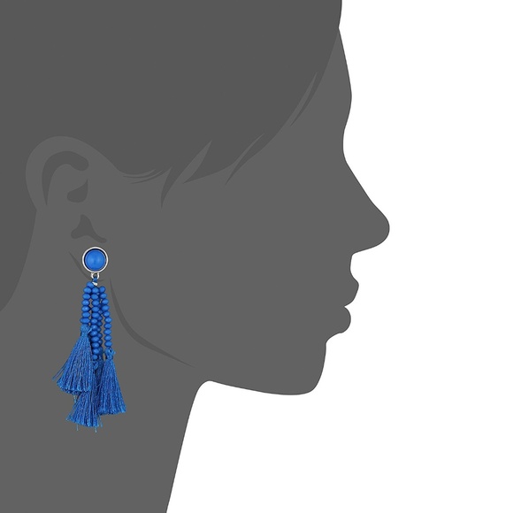 Blue Stone & Beaded Tassel Drop Earrings NWT - Picture 4 of 5